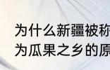 为什么新疆被称为瓜果之乡 新疆被称为瓜果之乡的原因