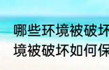 哪些环境被破坏怎样保护环境 哪些环境被破坏如何保护环境