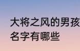 大将之风的男孩名字 大将之风的男孩名字有哪些