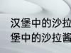 汉堡中的沙拉酱可以用炼乳代替吗 汉堡中的沙拉酱可不可以用炼乳代替