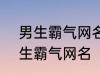 男生霸气网名2022最新版的 超酷男生霸气网名