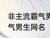 非主流霸气男生网名 好听的非主流霸气男生网名