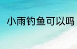 小雨钓鱼可以吗 小雨钓鱼可不可以