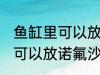 鱼缸里可以放诺氟沙星吗 鱼缸里可不可以放诺氟沙星