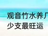 观音竹水养几支最旺运 观音竹水养多少支最旺运