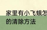 家里有小飞蛾怎么消灭 家里有小飞蛾的清除方法