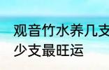 观音竹水养几支最旺运 观音竹水养多少支最旺运