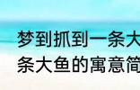 梦到抓到一条大鱼有什么兆头 梦见一条大鱼的寓意简介