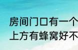 房间门口有一个蜂窝是什么兆头 门口上方有蜂窝好不好