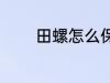 田螺怎么保存 如何存放田螺