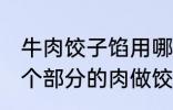 牛肉饺子馅用哪个部位的牛肉 牛的那个部分的肉做饺子馅比较好吃