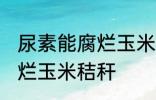 尿素能腐烂玉米秸秆吗 尿素能不能腐烂玉米秸秆