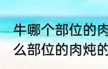 牛哪个部位的肉炖的牛肉汤好喝 牛什么部位的肉炖的牛肉汤好喝