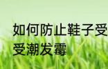 如何防止鞋子受潮发霉 怎样防止鞋子受潮发霉