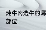 炖牛肉选牛的哪个部位 炖牛肉的最佳部位