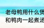 老母鸭用什么煲汤最好 哪些食物可以和鸭肉一起煮汤