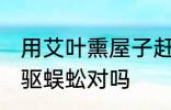 用艾叶熏屋子赶蜈蚣有用吗 艾草可以驱蜈蚣对吗