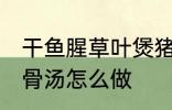 干鱼腥草叶煲猪骨汤 干鱼腥草叶煲猪骨汤怎么做