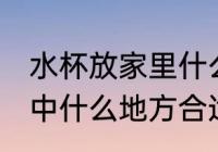 水杯放家里什么地方招财 水杯放在家中什么地方合适